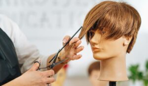 Senior Mobile Hairstylist Winnipeg