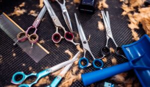 In-Home Senior Hairdresser Winnipeg