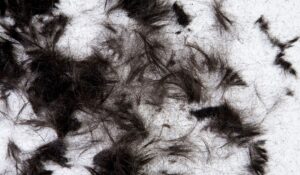 Senior Hairstyling Services Winnipeg