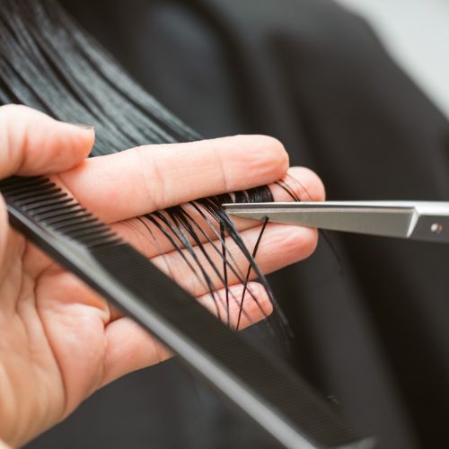 mobile hairdresser for seniors winnipeg