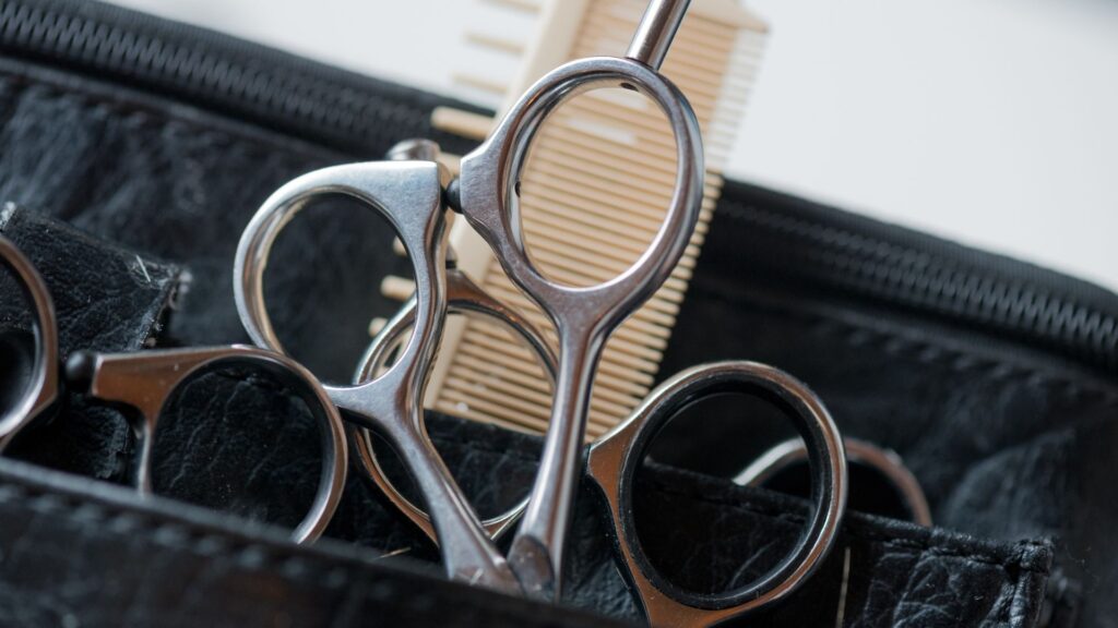 mobile hairdresser for seniors winnipeg